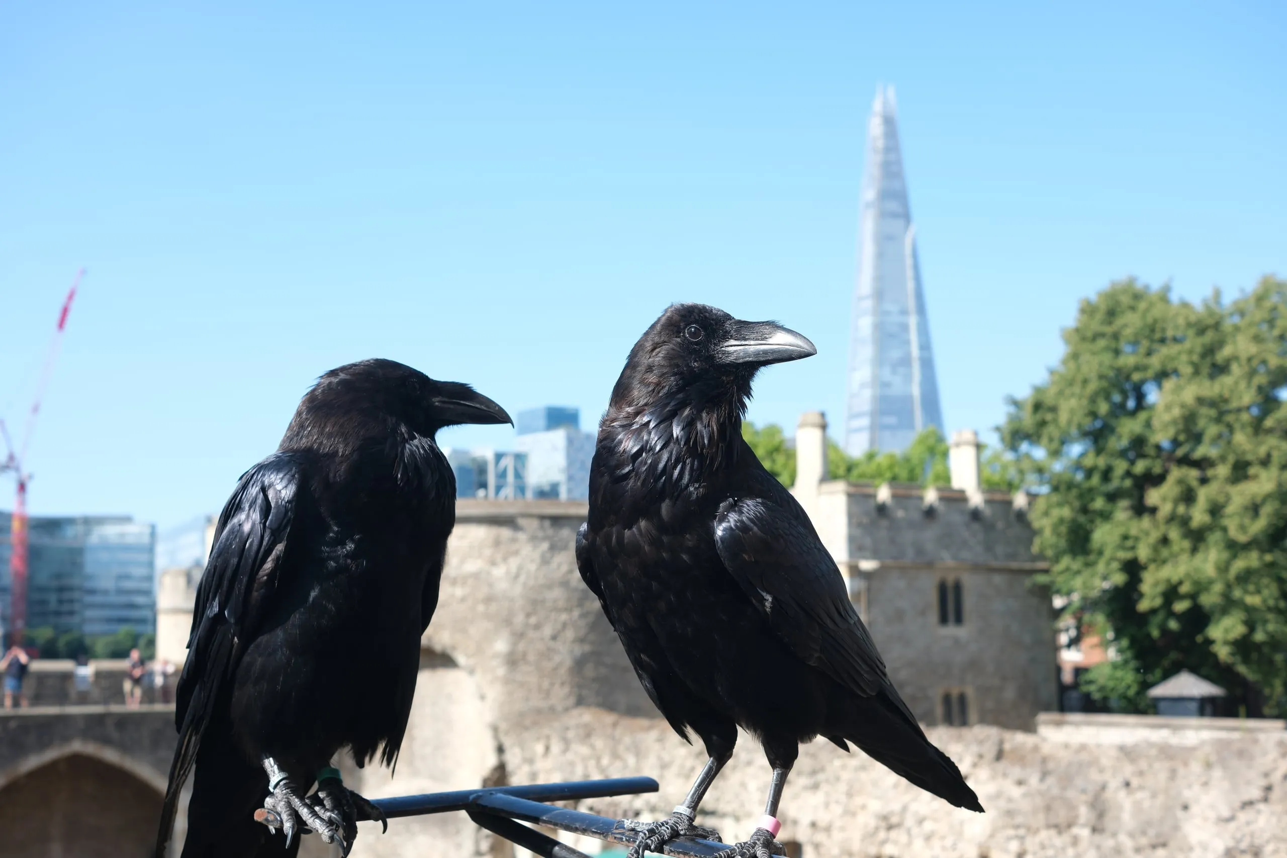 Tower of London